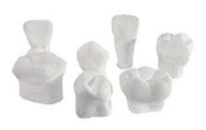 16052s_s_selected3880.jpg MACRODIENTES DE YESO INFANTIL (JGO. 7 PZAS) MACROMODELO