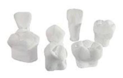 MACRODIENTES DE YESO INFANTIL (JGO. 7 PZAS) MACROMODELO