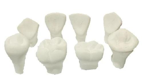 MACRODIENTES DE YESO ADULTO (JGO. 8 PZAS) MACROMODELO