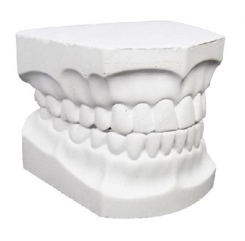 MODELOS YESO (DENTADO, DESDENTADO O INFANTIL)