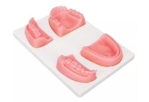 PAD DE SUTURA BUCAL (ALMOHADILLA) PARA PRACTICA DE SUTURA ORAL