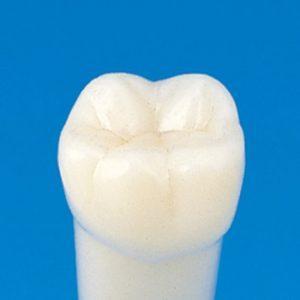 DIENTE NISSIN INDIVIDUAL