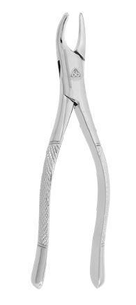 6B095s_s_selected1780.jpg FORCEP #151 6B