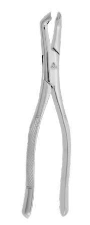 6B099s_s_selected1781.jpg FORCEP #222 6B