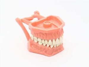 TIPODONTO ACRILICO ADULTO