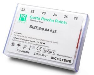 PUNTA DE GUTTA-PERCHA GT  04  #25 C/60